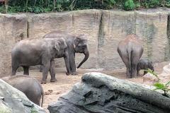 WhatsApp-Image-2023-03-16-at-17.44.43-11