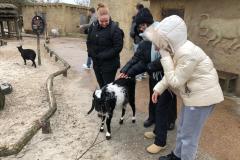 WhatsApp-Image-2023-03-16-at-17.44.43-12