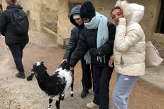 WhatsApp-Image-2023-03-16-at-17.44.43-13