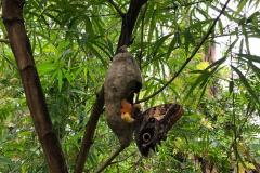 WhatsApp-Image-2023-03-16-at-17.44.43-2