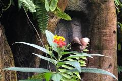 WhatsApp-Image-2023-03-16-at-17.44.43-3