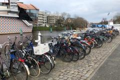 WhatsApp-Image-2023-03-17-at-17.26.30-2