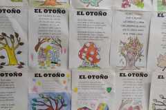 WhatsApp-Image-2022-11-14-at-18.16.38