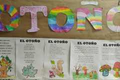 WhatsApp-Image-2022-11-14-at-18.16.52