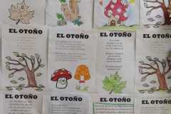 WhatsApp-Image-2022-11-14-at-18.17.09