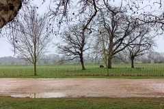 WhatsApp-Image-2023-03-08-at-22.48.07-2