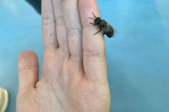 WhatsApp-Image-2023-05-08-at-14.18.54