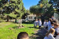 WhatsApp-Image-2022-10-20-at-16.26.45