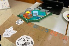 WhatsApp-Image-2022-11-10-at-17.47.16