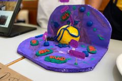 WhatsApp-Image-2022-11-10-at-17.47.17-1