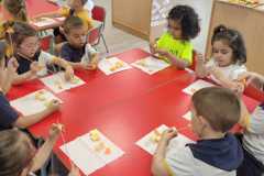 d9f8c766-8b3b-40bd-b1c8-d8993682048e