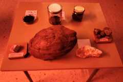 WhatsApp-Image-2023-03-09-at-16.44.50