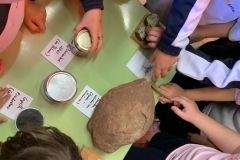 WhatsApp-Image-2023-03-09-at-18.02.30