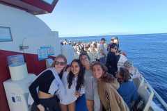 WhatsApp-Image-2023-02-02-at-18.31.121