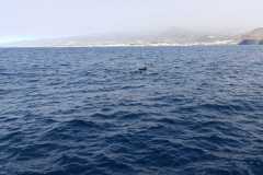 WhatsApp-Image-2023-02-02-at-18.31.13