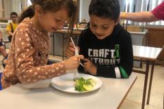 WhatsApp-Image-2023-03-16-at-11.19.44-2