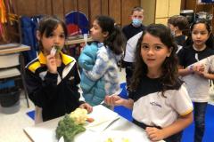 WhatsApp-Image-2023-03-16-at-11.19.44-9