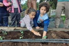 WhatsApp-Image-2023-02-05-at-09.08.17