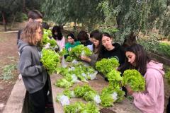 WhatsApp-Image-2023-02-05-at-09.11.47