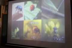 WhatsApp-Image-2023-03-21-at-14.55.01