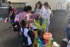 WhatsApp-Image-2022-12-09-at-20.00.55