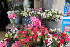 WhatsApp-Image-2023-04-11-at-18.41.22-1