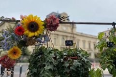 WhatsApp-Image-2023-04-11-at-18.41.22