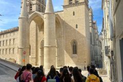 WhatsApp-Image-2023-04-11-at-18.41.23-1