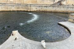 WhatsApp-Image-2023-04-14-at-16.36.20