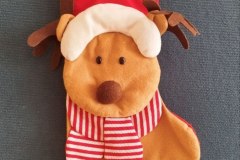 photo_3_2022-12-19_12-29-05