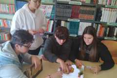 WhatsApp-Image-2023-05-04-at-11.51.54