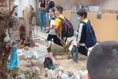 WhatsApp-Image-2022-12-13-at-14.14.12-1