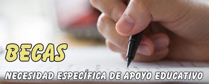 Becas alumnado con necesidad específica de apoyo educativo
