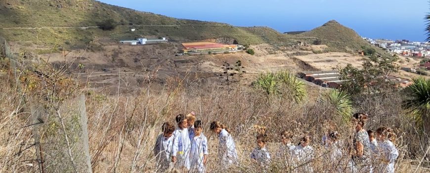 Un monte en nuestro cole