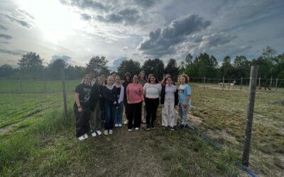 Viaje a Rybnik| Día 5: Último día en Rybnik: presentaciones en el colegio, juegos compartidos, creación del rincón Bee y entrega de diplomas