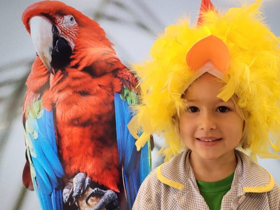 «Boca, pico, hocico»